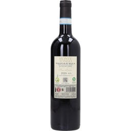 Valpolicella Superiore DOC San Pietro 2024