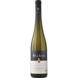 Weingut Allram Grüner Veltliner Ried Gaisberg 1. ÖTW 2024 Bio