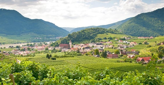 Weinbaugebiete in Österreich – Überblick & Besonderheiten<